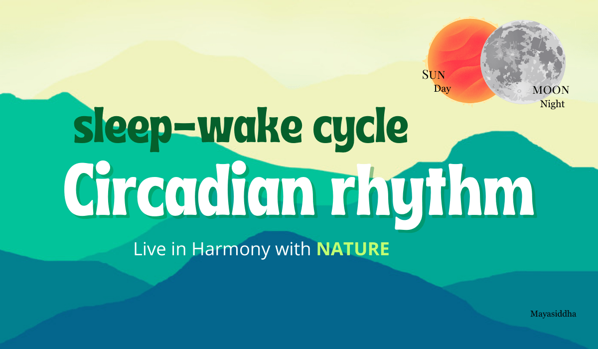 Circadian Rhythm Sleep Wake-Cycle - Maya Siddha