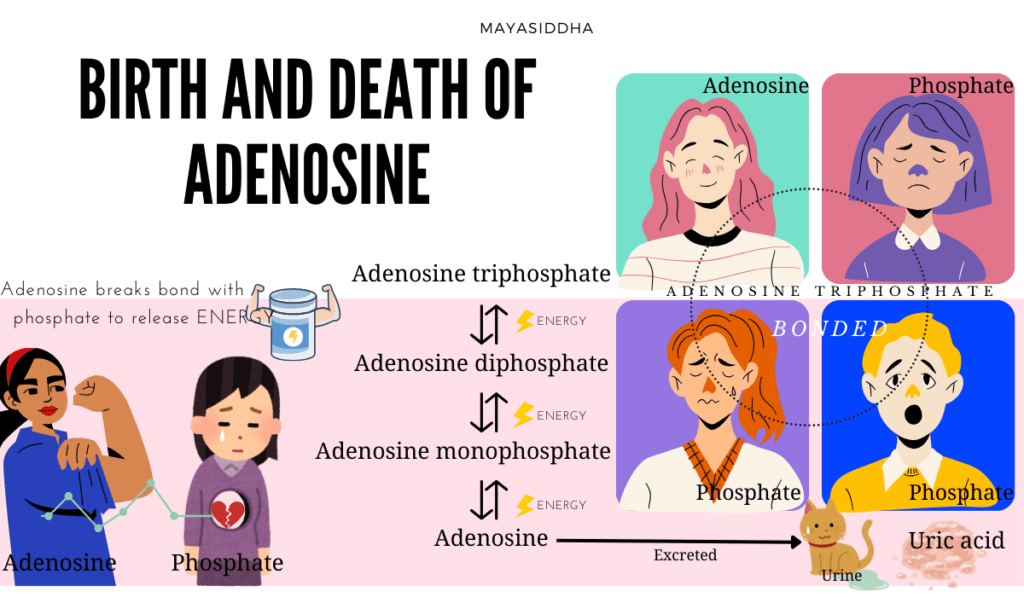 sleep pressure