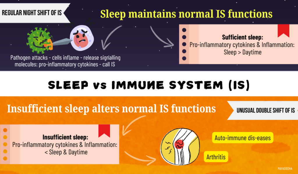 health benefits of sleep