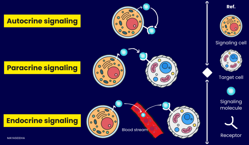 Types of cell communication